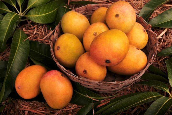 Mango benefits